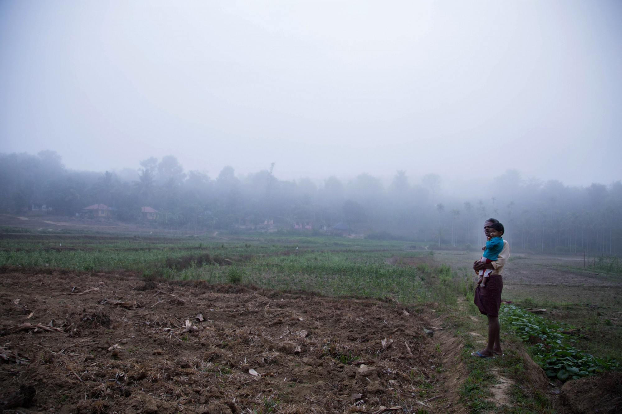 Kesavan looks over his freshly cultivated, paddy fields, cradling Niranjana his granddaughter. The cool morning will turn into a hot day, and the family is busy preparing things around the farm.