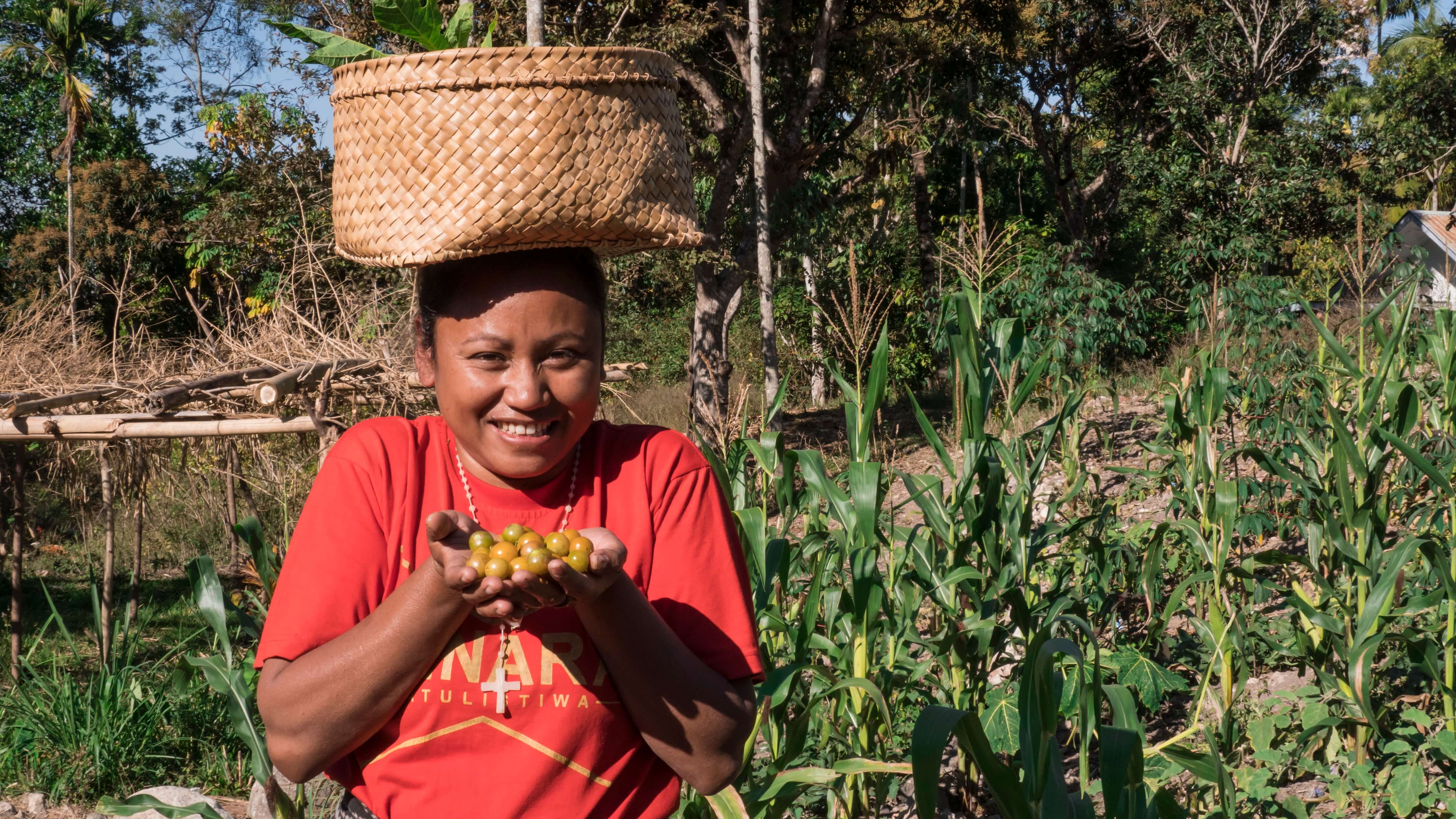 Eventually, Dicky realised that he could also create opportunities for Orang Mollo to share their culture through tourism, such as the richness of the region’s farmed produce. Each year, from January to August, Lakoat.Kujawas organises the M’nahat Fe’u Heritage Trail for travellers. Photo by Andra Fembriarto 