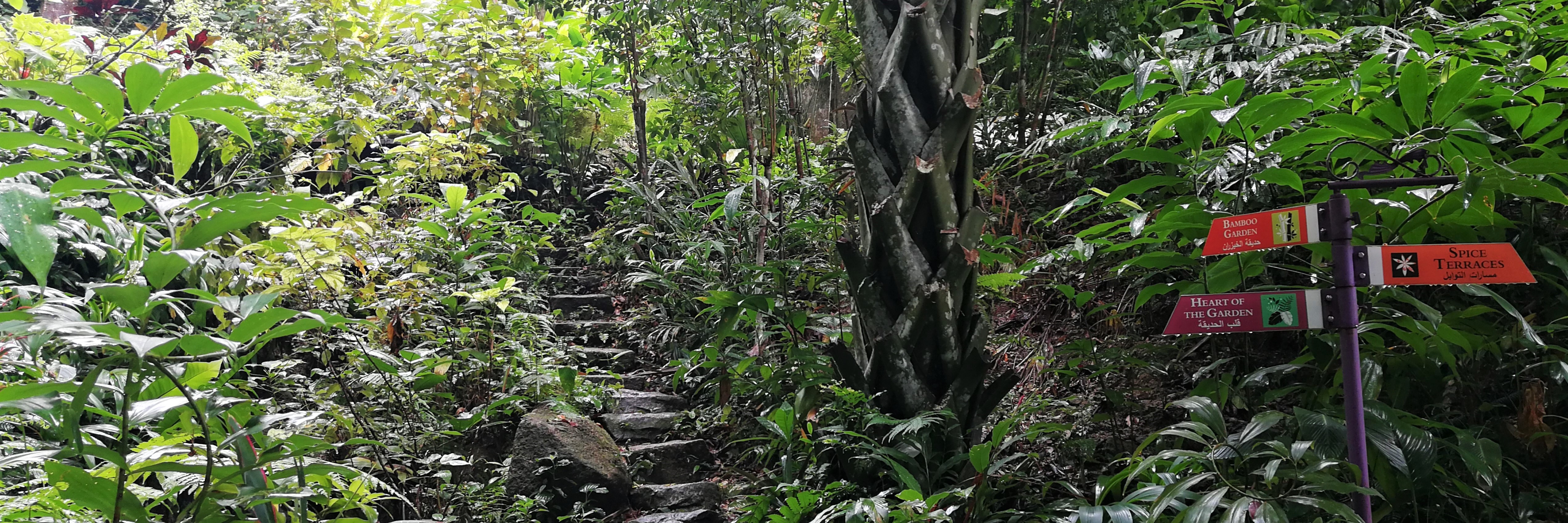 Tropical Spice Garden is a living museum of Penang’s herbaceous heritage. Photo by Alexandra Wong